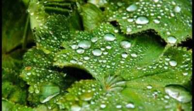 Frédéric Chopin’s Raindrop Prelude, Op. 28, No. 15