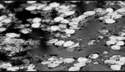 Vocalise by Rachmaninoff, Performed by Bobby McFerrin & Yo-Yo Ma