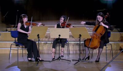 Borodin String Trio in G Minor